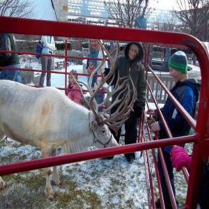 reindeer visit