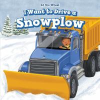 Snow Plow Driver