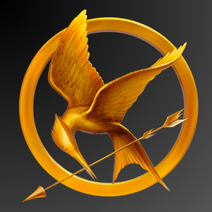 Teen Hunger Games Party