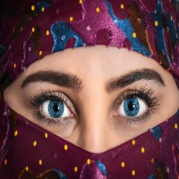 Ann Arbor Storytellers: Colorful Characters